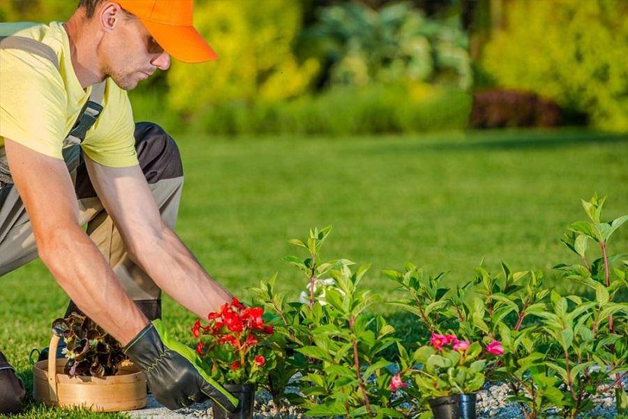 Gardening